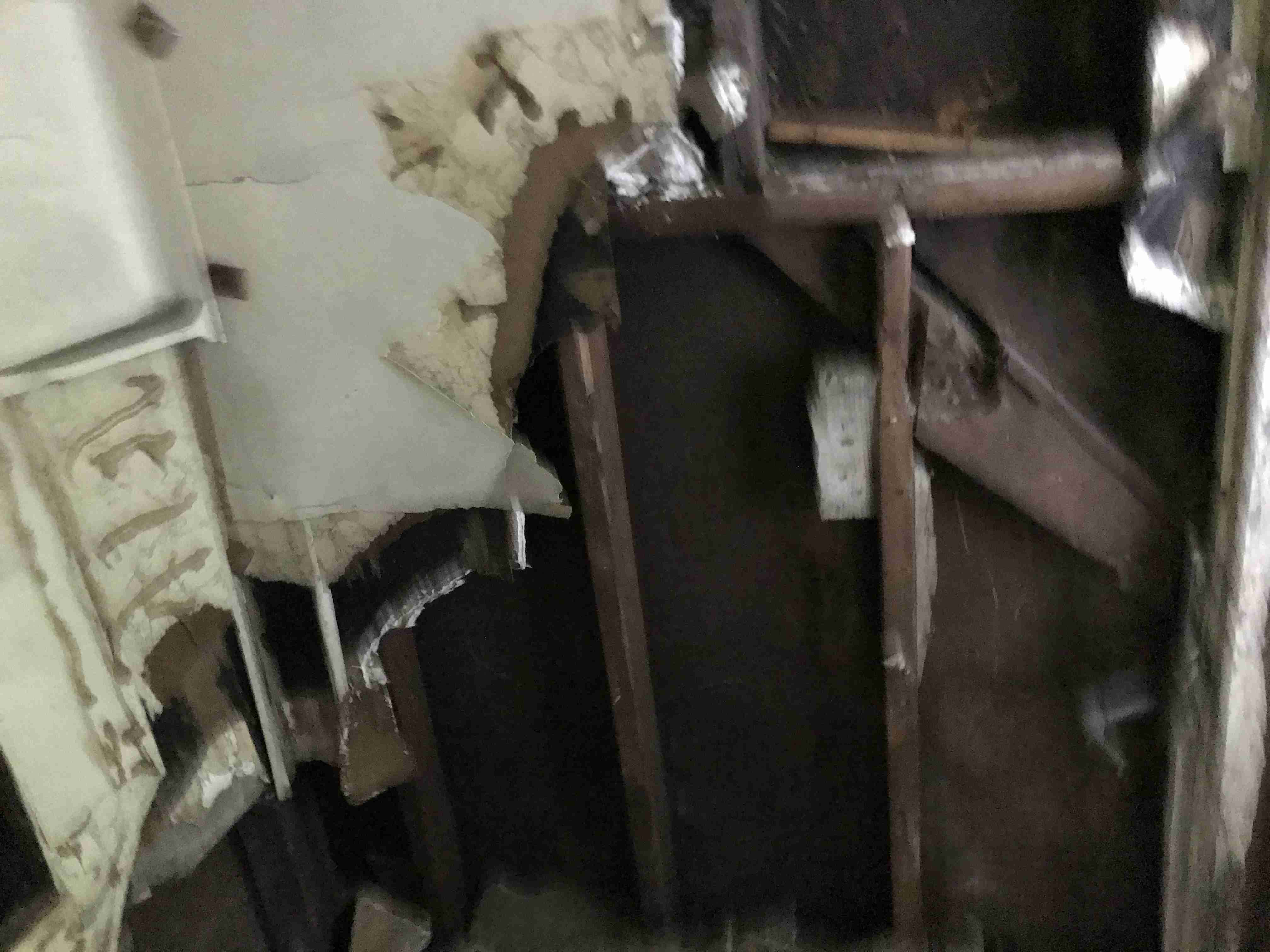 Photo Sep 10, 12 48 06 PM.jpg